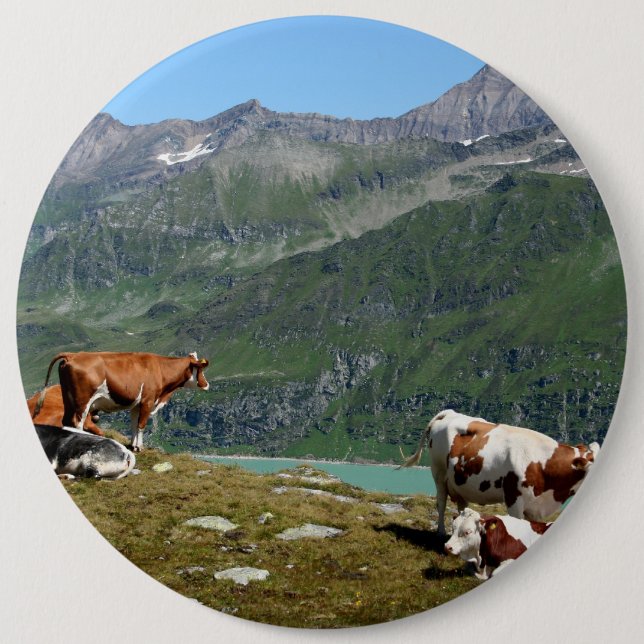 Schöne Kühe hoch oben in den Bergen Button (Vorderseite)