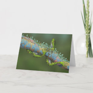 Schöne Kunstgrußkarte - Naturfantasie Feiertagskarte