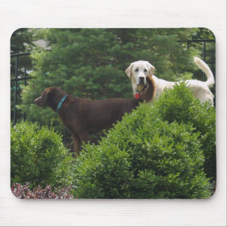 Schöne Labrador-Mausunterlage Mousepad