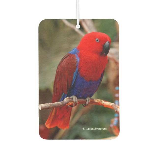 Schöne "Lady in Red" Eclectus Parrot Autolufterfrischer (Vorderseite)
