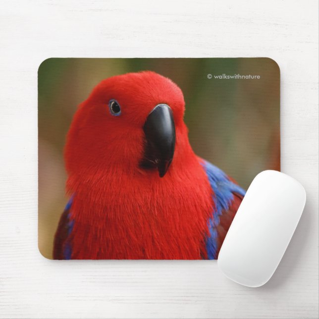 Schöne "Lady in Red" Eclectus Parrot Mousepad (Mit Mouse)