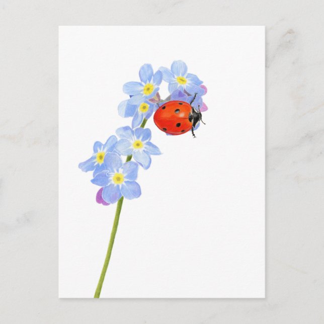 Schöne Ladybug Zeichnend Postkarte (Vorderseite)