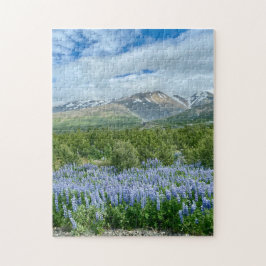 Schöne Landschaft Landschaft Natur Szene