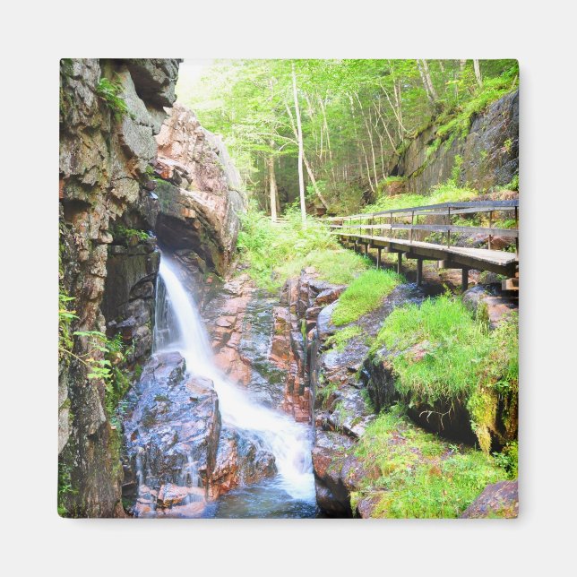 Schöne Landschaft mit natürlichen Wasserfällen NH  Magnet (Vorne)