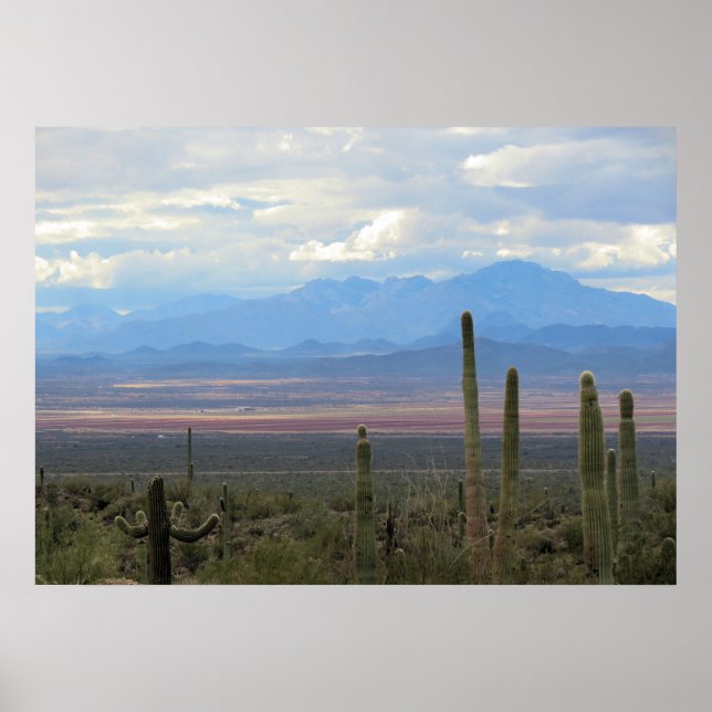 Schöne Landschaft von Arizona Poster (Vorne)