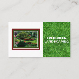 Schöne Landschaftsrasen-Foto-Visitenkarte Visitenkarte