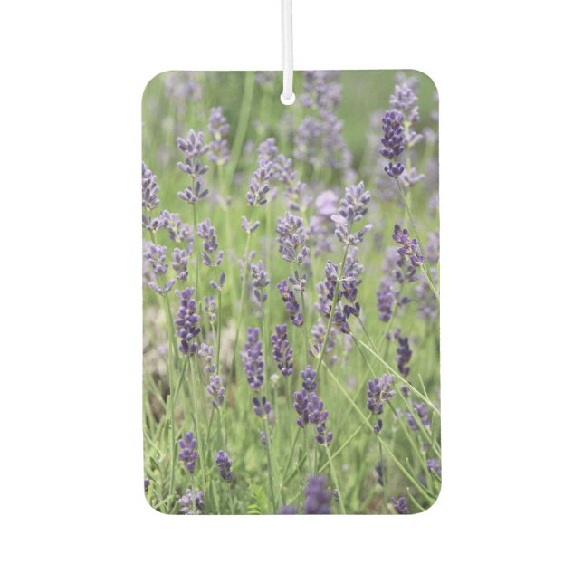 Schöne Lavendel Autolufterfrischer (Vorderseite)