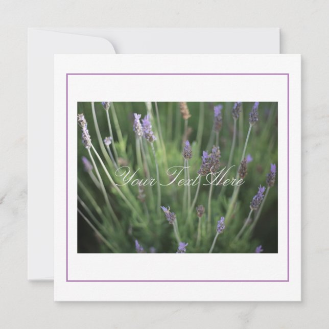 Schöne Lavendel Blume Ihrer Textflatterkarte (Vorderseite)
