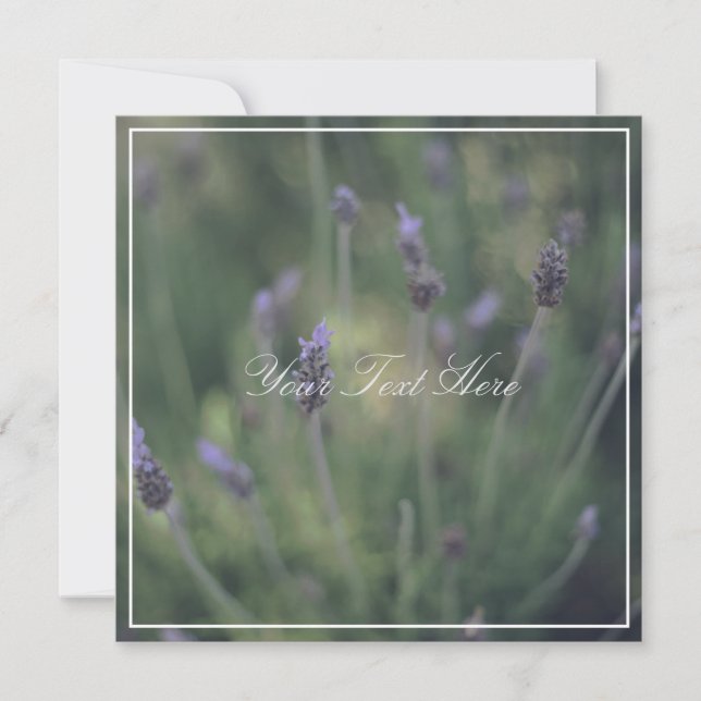 Schöne Lavendel Blume Ihrer Textflatterkarte (Vorderseite)