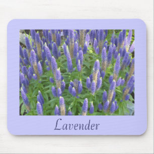 Schöne Lavendel Mousepad