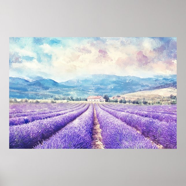 Schöne Lavendelfelder Poster (Vorne)