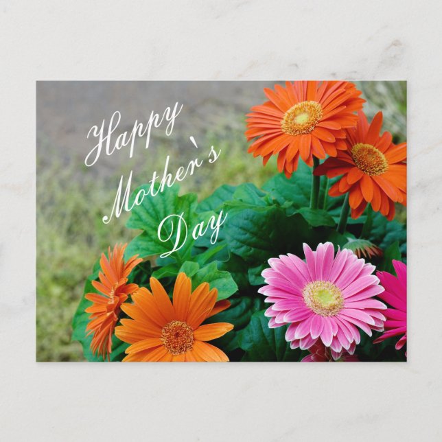 Schöne, lebendige Muttertag Gerbera Daisy Card Postkarte (Vorderseite)