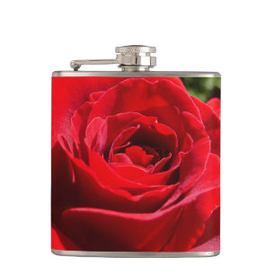 Schöne leuchtend rote Rosenblume Blumen Flachmann