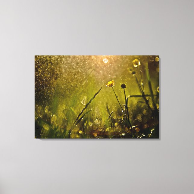 Schöne Lichtspiele Neuseelands Regen Kleine Blume Leinwanddruck (Vorderseite)
