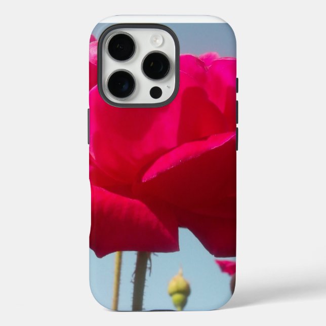 Schöne, liebevolle Rose Rot gegen Blau iPhone 16 Pro Hülle (Rückseite)