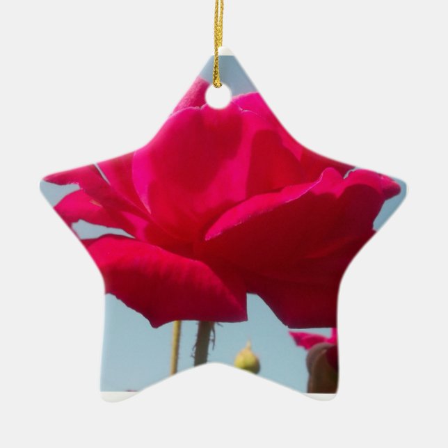 Schöne, liebevolle Rose Rot gegen Blau Keramik Ornament (Vorne)