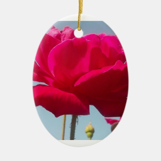 Schöne, liebevolle Rose Rot gegen Blau Keramik Ornament (Vorne)