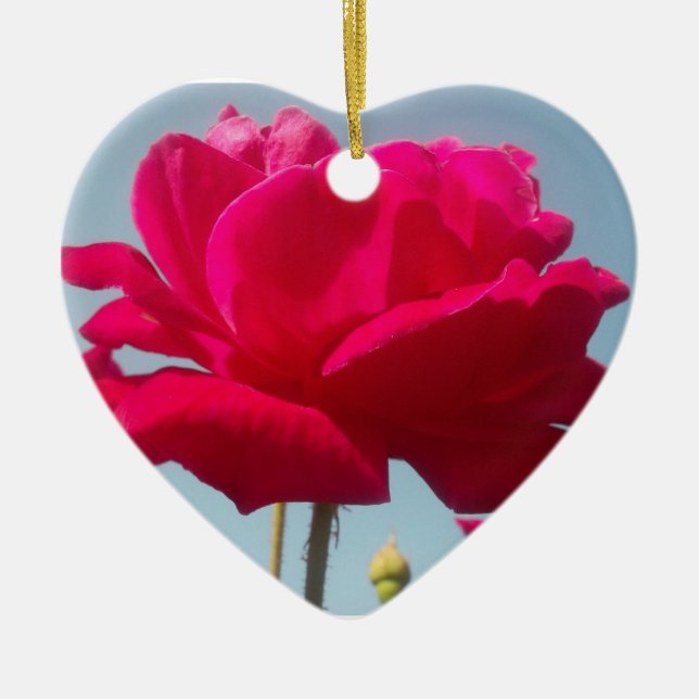 Schöne, liebevolle Rose Rot gegen Blau Keramik Ornament (Vorne)