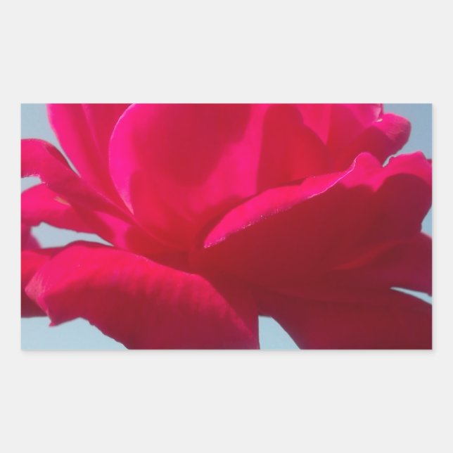 Schöne, liebevolle Rose Rot gegen Blau Rechteckiger Aufkleber (Vorderseite)