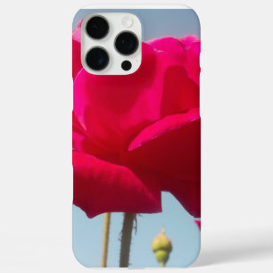 Schöne, liebevolle Rose Rot gegen Blau title_seo2