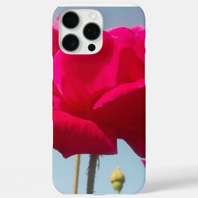 Schöne, liebevolle Rose Rot gegen Blau title_seo2 (Rückseite)