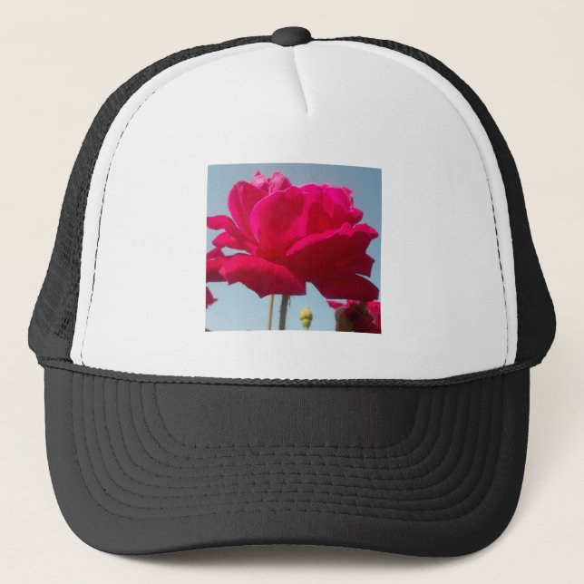 Schöne, liebevolle Rose Rot gegen Blau Truckerkappe (Vorderseite)