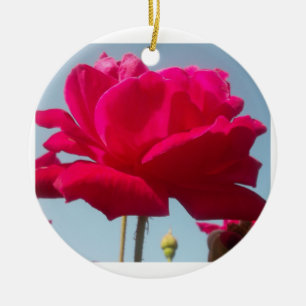 Schöne Liebliche Himmlische Rose Rot Gegen Blau Keramikornament