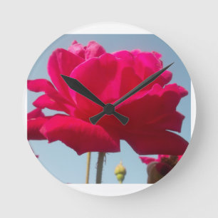 Schöne Liebliche Himmlische Rose Rot Gegen Blau Runde Wanduhr