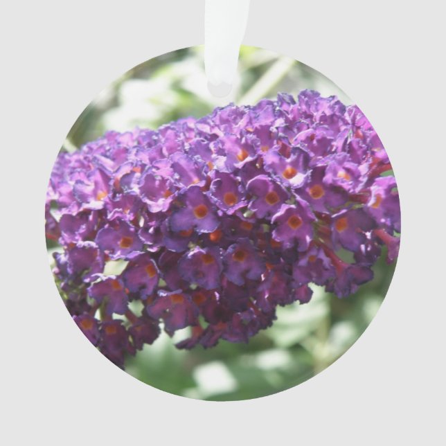 Schöne Lila Buddleia-Blume Akrylisches Ornament (Vorderseite)