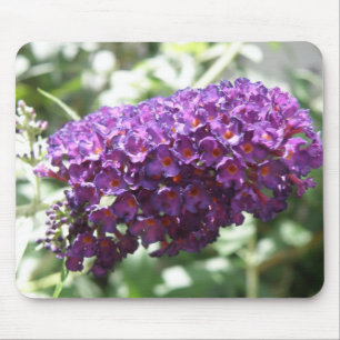 Schöne Lila Buddleia Blume Mousepad