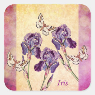 Schöne Lila Iris-Blume und Schmetterling Quadratischer Aufkleber