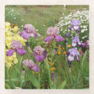 Schöne lila Iris Blumenblüten-Foto Glasuntersetzer