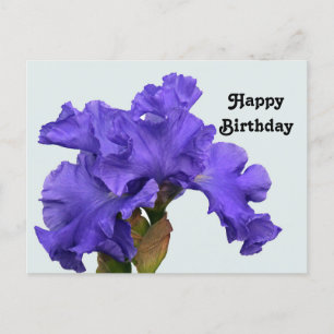 Schöne lila Iris Blumenfoto Geburtstag Postkarte