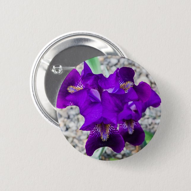Schöne lila Iris Button (Vorne & Hinten)