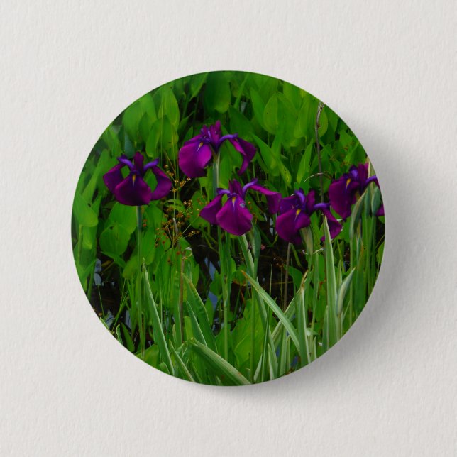 Schöne Lila Iris Button (Vorderseite)
