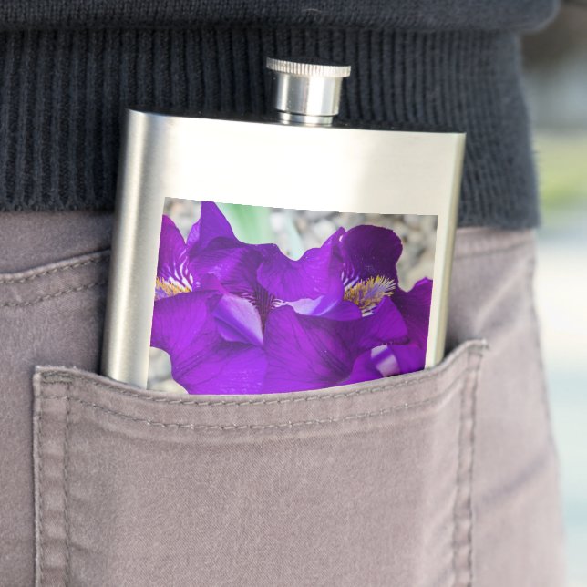 Schöne lila Iris Flachmann (Beispiel)