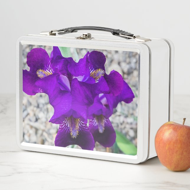 Schöne lila Iris Metall Brotdose (Beispiel)