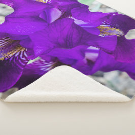 Schöne lila Iris Sherpadecke