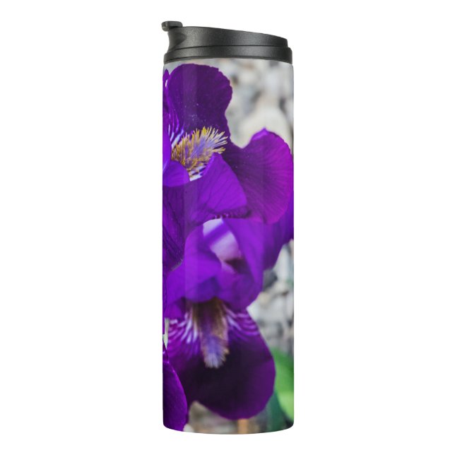 Schöne lila Iris Thermosbecher (Nach rechts gedreht)
