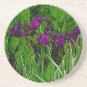 Schöne Lila Iris Untersetzer