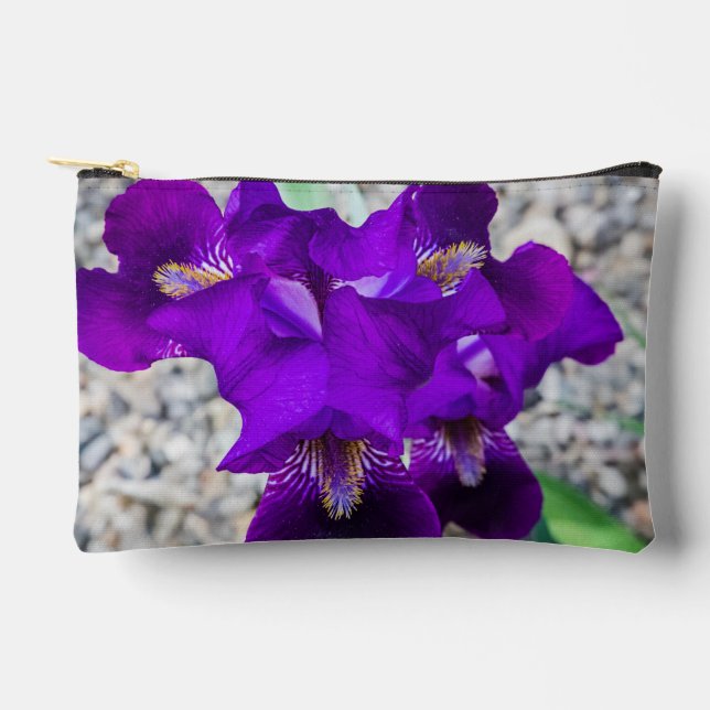 Schöne lila Iris Zubehörtasche (Vorderseite)