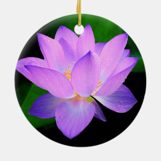 Schöne lila Lotos-Blume im Wasser Keramikornament (Hinten)