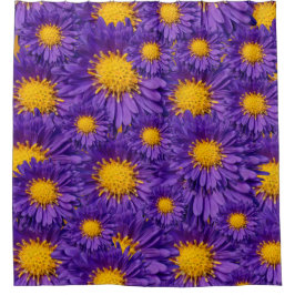 Schöne Lila Michaelmas Daisies Duschvorhang