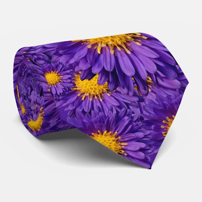 Schöne Lila Michaelmas Daisies Krawatte (Gerollt)