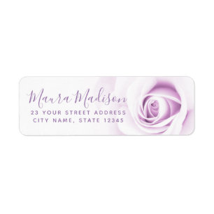 Schöne lila Rose Blume Blumen Rücksendeadresse