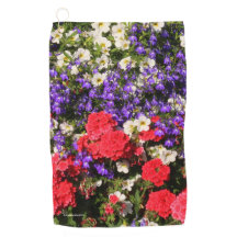 Schöne Lila, rote und weiße Blume