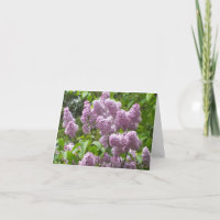 Schöne Lilac Bush Blank Note Card
