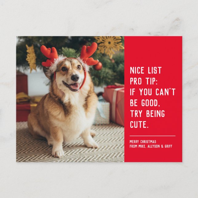 Schöne Liste niedlicher Witzhund Weihnachten Foto (Vorderseite)