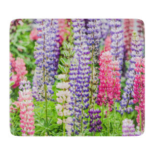 Schöne Lupine-Blume  Schneidebrett