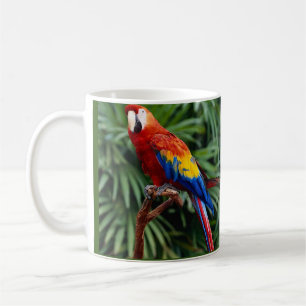 Schöne Macaw-Kaffee-Tasse Kaffeetasse